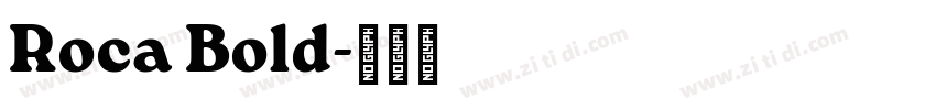 Roca Bold字体转换 Roca Bold字体转换